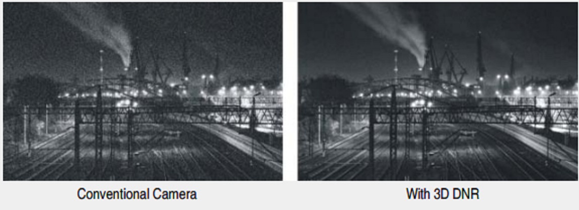 Before and after DNR