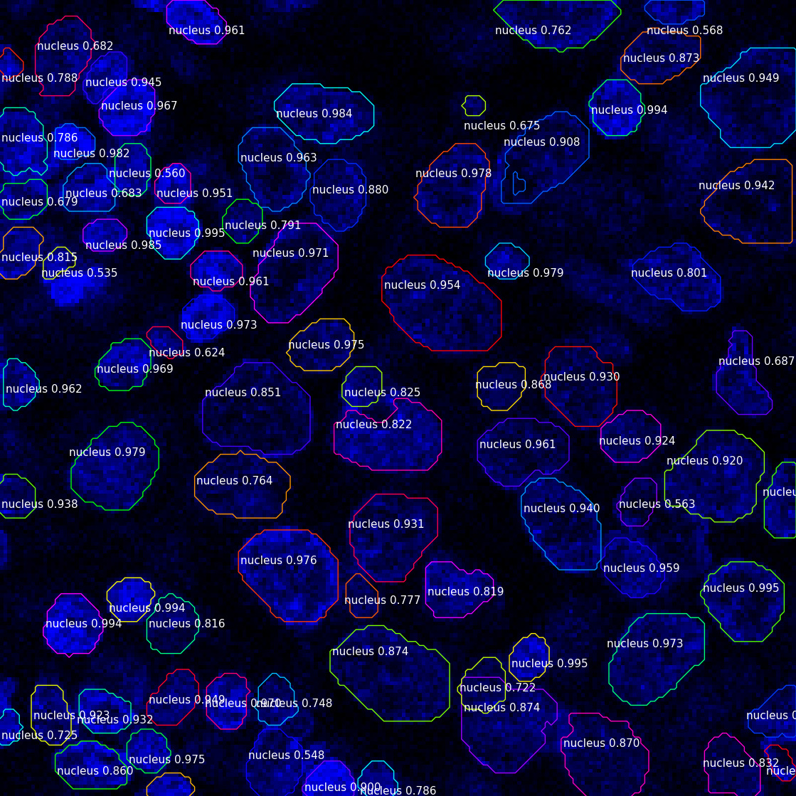 Cell Instance Segmentation